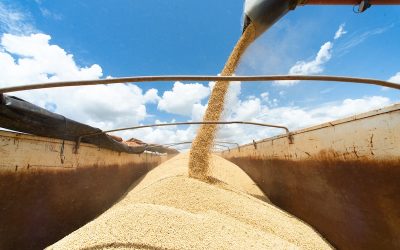 ¿La baja del dólar en Argentina demorará la liquidación del agro en abril? Esto ven analistas